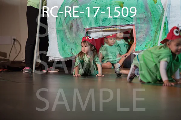 RC-RE-17-1509.jpg