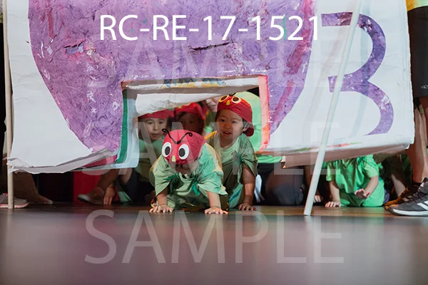 RC-RE-17-1521.jpg