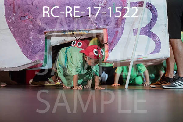 RC-RE-17-1522.jpg