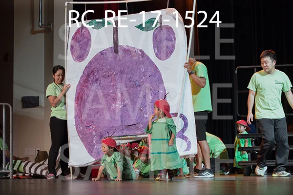 RC-RE-17-1524.jpg