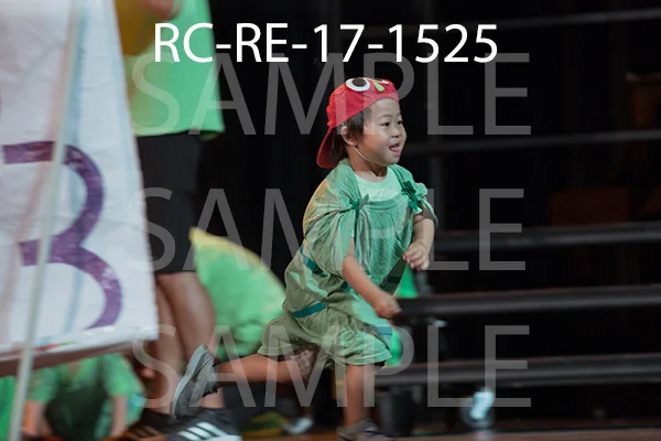 RC-RE-17-1525.jpg