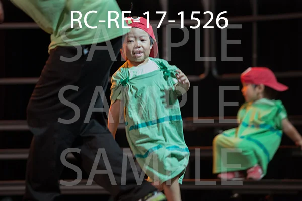 RC-RE-17-1526.jpg
