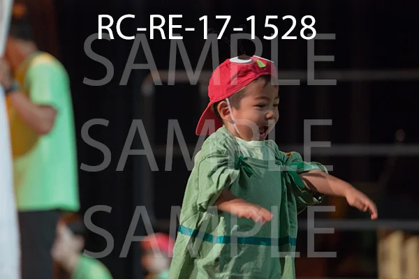 RC-RE-17-1528.jpg
