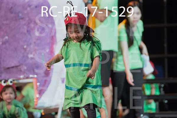 RC-RE-17-1529.jpg