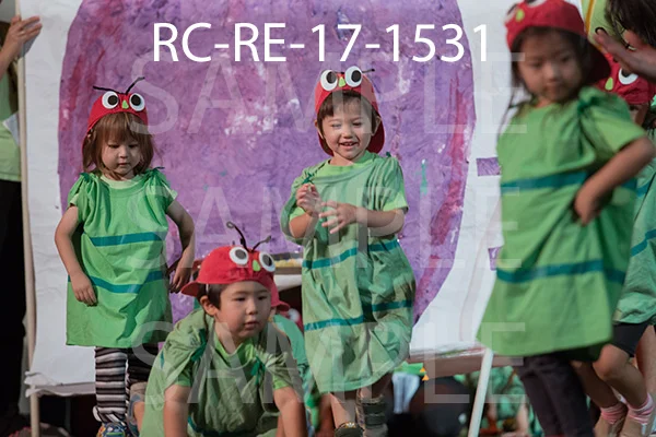 RC-RE-17-1531.jpg