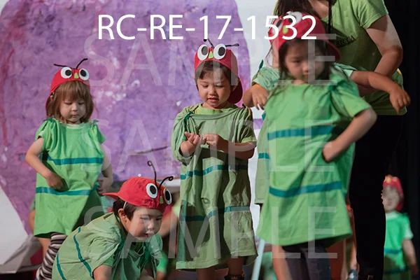 RC-RE-17-1532.jpg