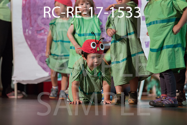 RC-RE-17-1533.jpg