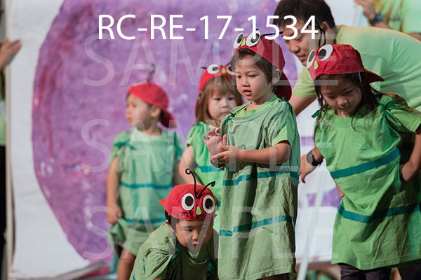 RC-RE-17-1534.jpg