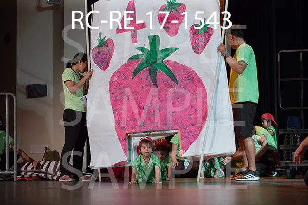RC-RE-17-1543.jpg