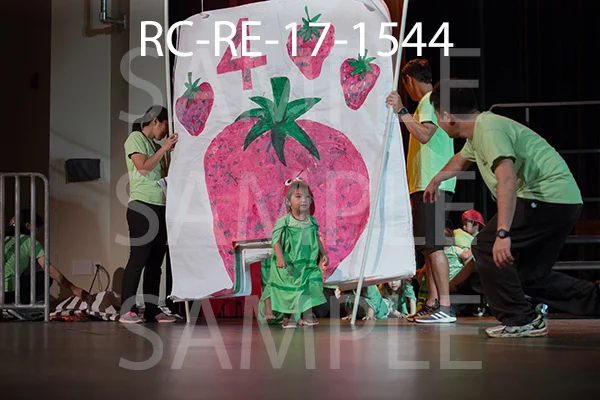 RC-RE-17-1544.jpg