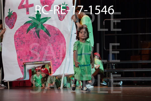 RC-RE-17-1546.jpg