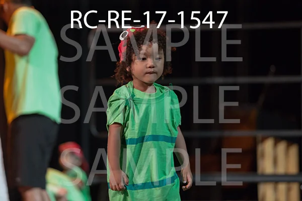 RC-RE-17-1547.jpg