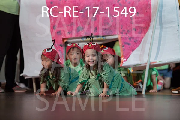 RC-RE-17-1549.jpg