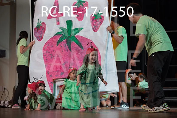 RC-RE-17-1550.jpg