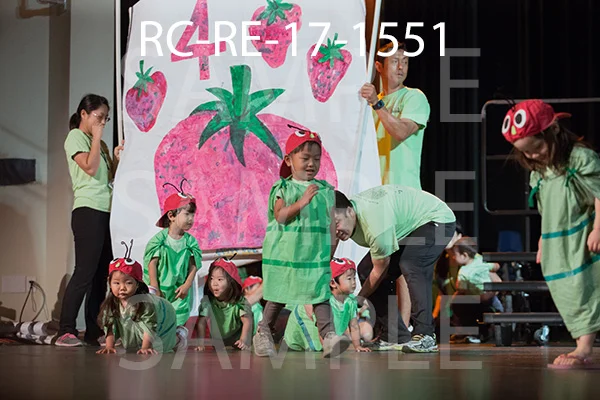 RC-RE-17-1551.jpg