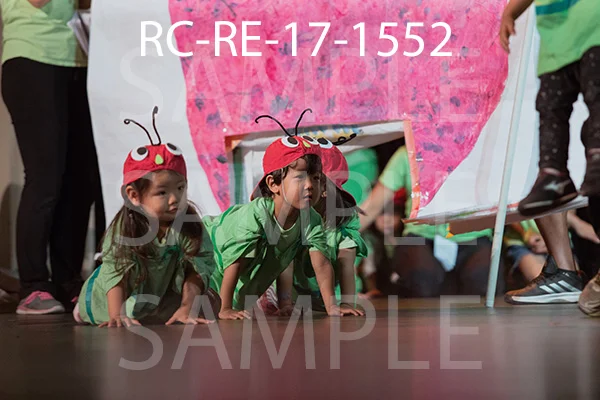 RC-RE-17-1552.jpg