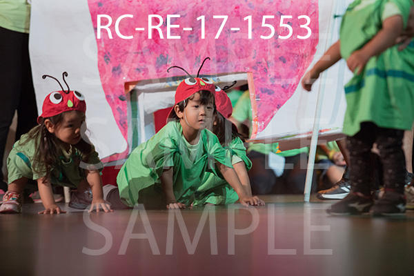 RC-RE-17-1553.jpg