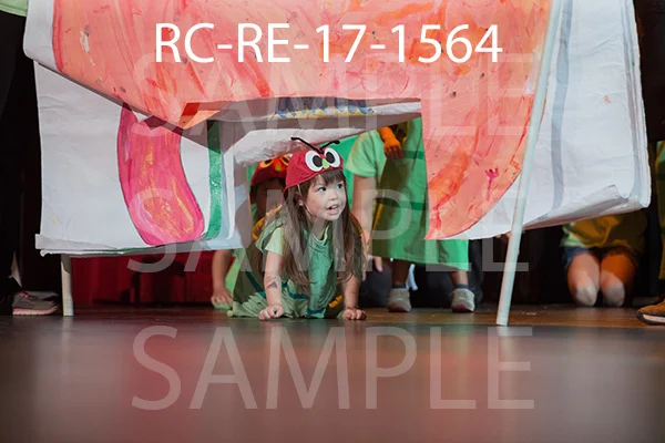 RC-RE-17-1564.jpg