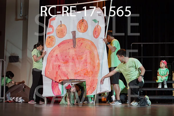 RC-RE-17-1565.jpg