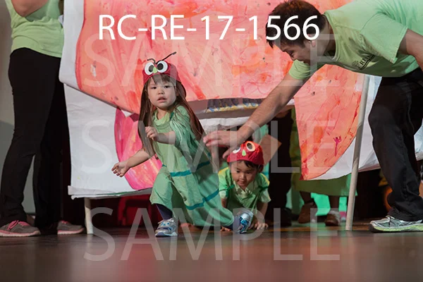 RC-RE-17-1566.jpg