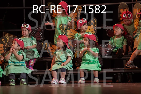 RC-RE-17-1582.jpg