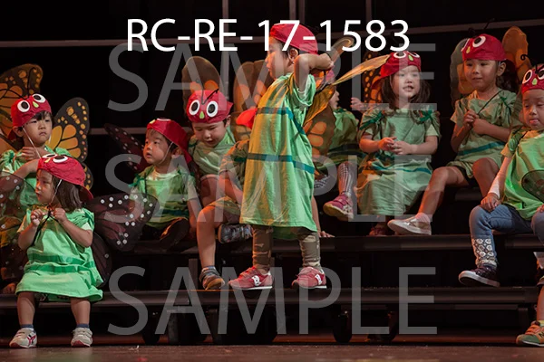 RC-RE-17-1583.jpg