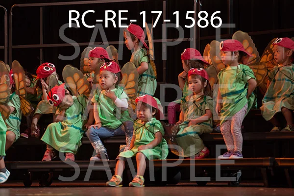 RC-RE-17-1586.jpg