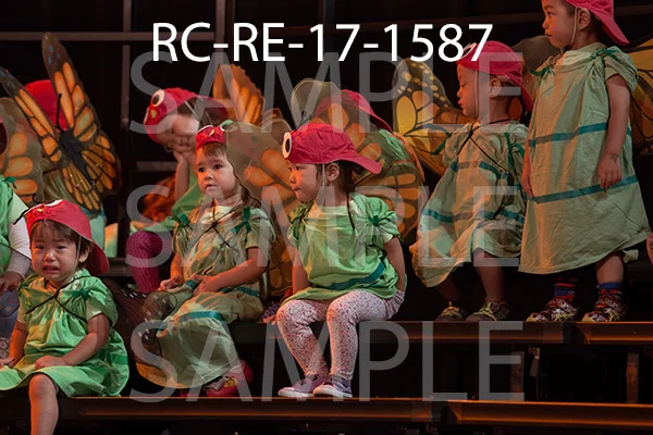 RC-RE-17-1587.jpg