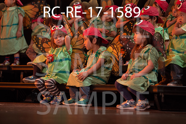 RC-RE-17-1589.jpg