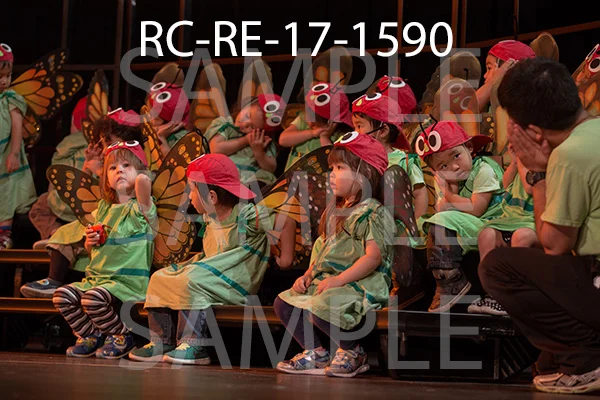 RC-RE-17-1590.jpg