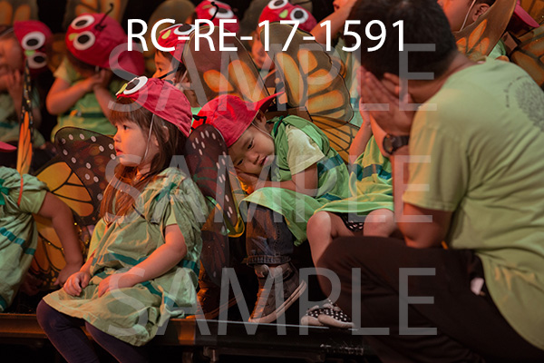 RC-RE-17-1591.jpg
