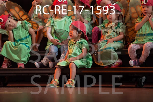 RC-RE-17-1593.jpg