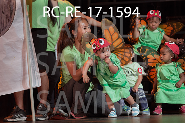 RC-RE-17-1594.jpg