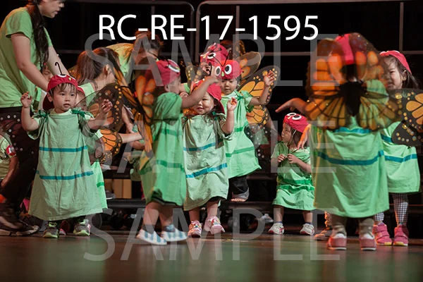RC-RE-17-1595.jpg