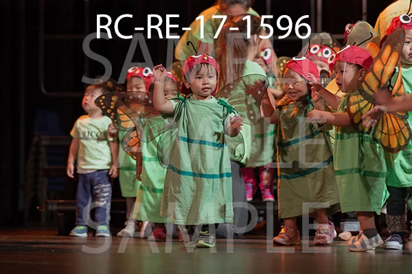 RC-RE-17-1596.jpg