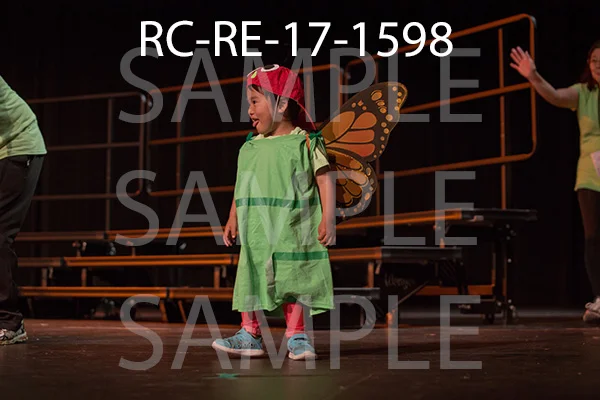 RC-RE-17-1598.jpg