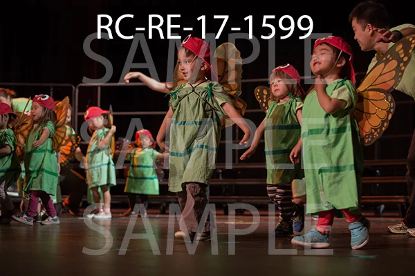 RC-RE-17-1599.jpg