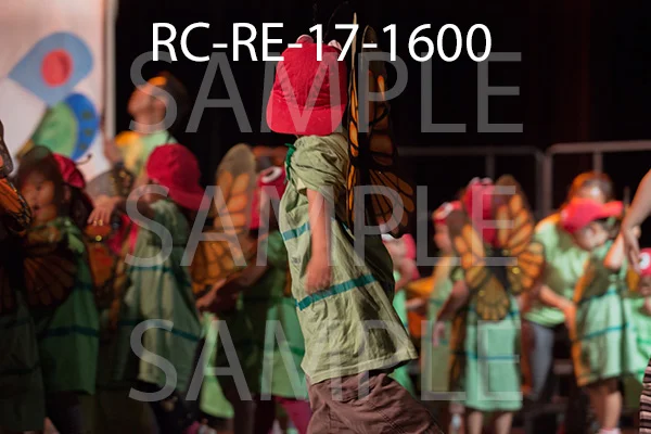 RC-RE-17-1600.jpg