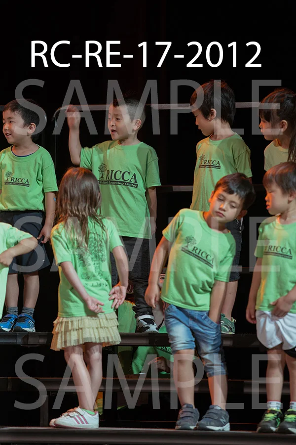 RC-RE-17-2012.jpg