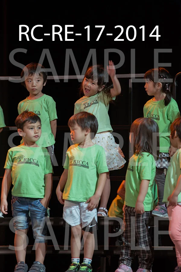 RC-RE-17-2014.jpg