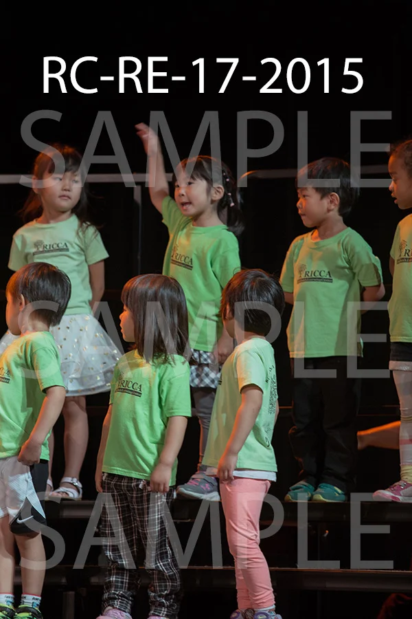 RC-RE-17-2015.jpg