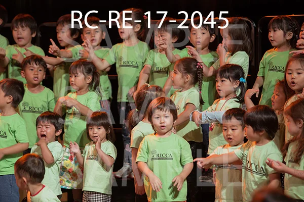 RC-RE-17-2045.jpg