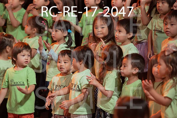 RC-RE-17-2047.jpg