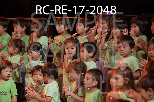RC-RE-17-2048.jpg