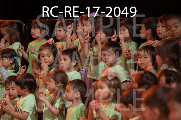 RC-RE-17-2049.jpg