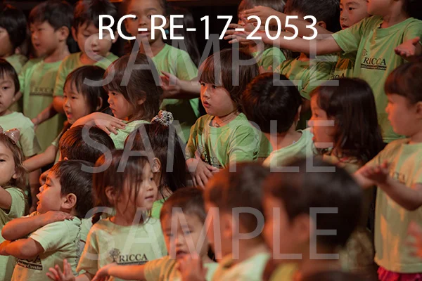 RC-RE-17-2053.jpg