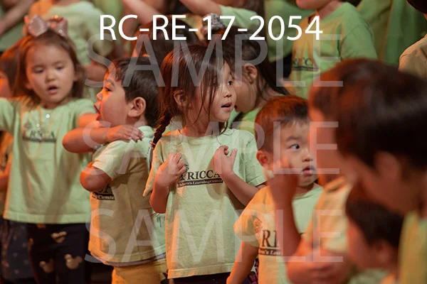 RC-RE-17-2054.jpg