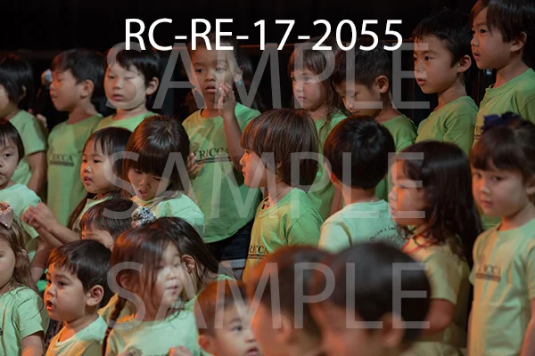 RC-RE-17-2055.jpg