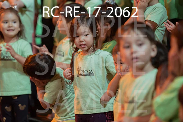 RC-RE-17-2062.jpg