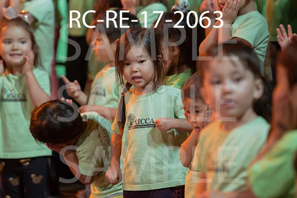 RC-RE-17-2063.jpg